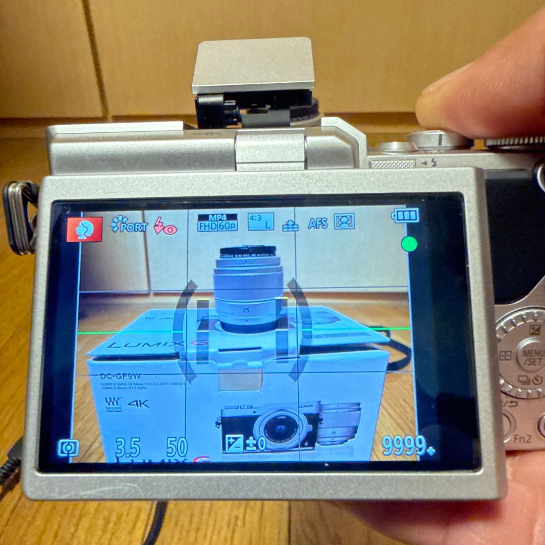 Panasonic LUMIX DC-GF9W 本体と標準レンズ2本 プラス望遠
