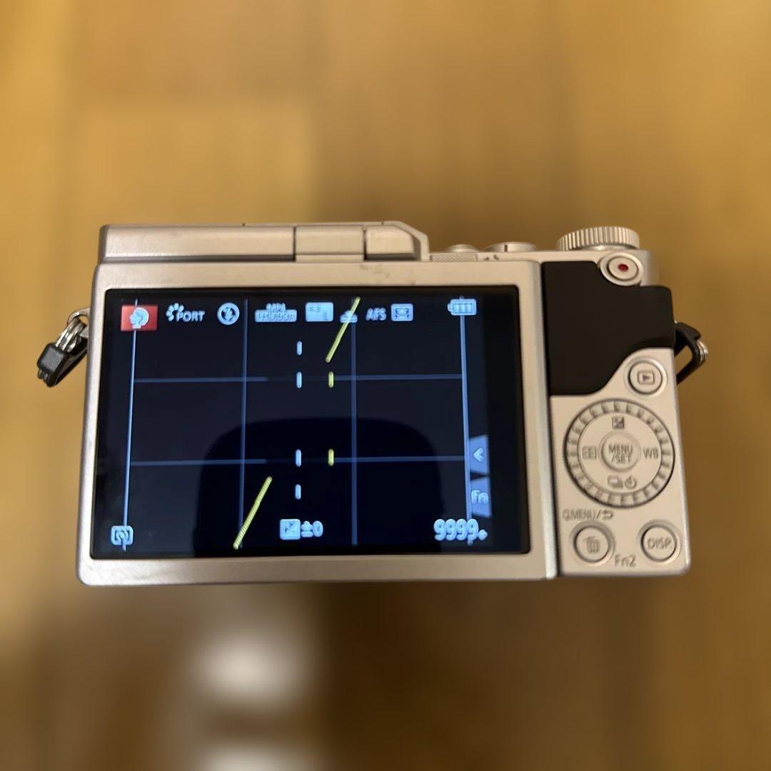 Panasonic LUMIX DC-GF9W 本体と標準レンズ2本 プラス望遠