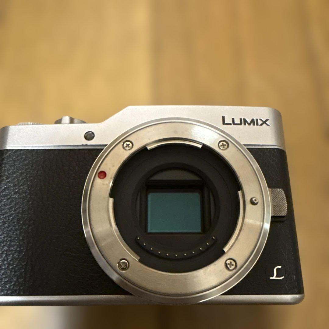 Panasonic LUMIX DC-GF9W 本体と標準レンズ2本 プラス望遠