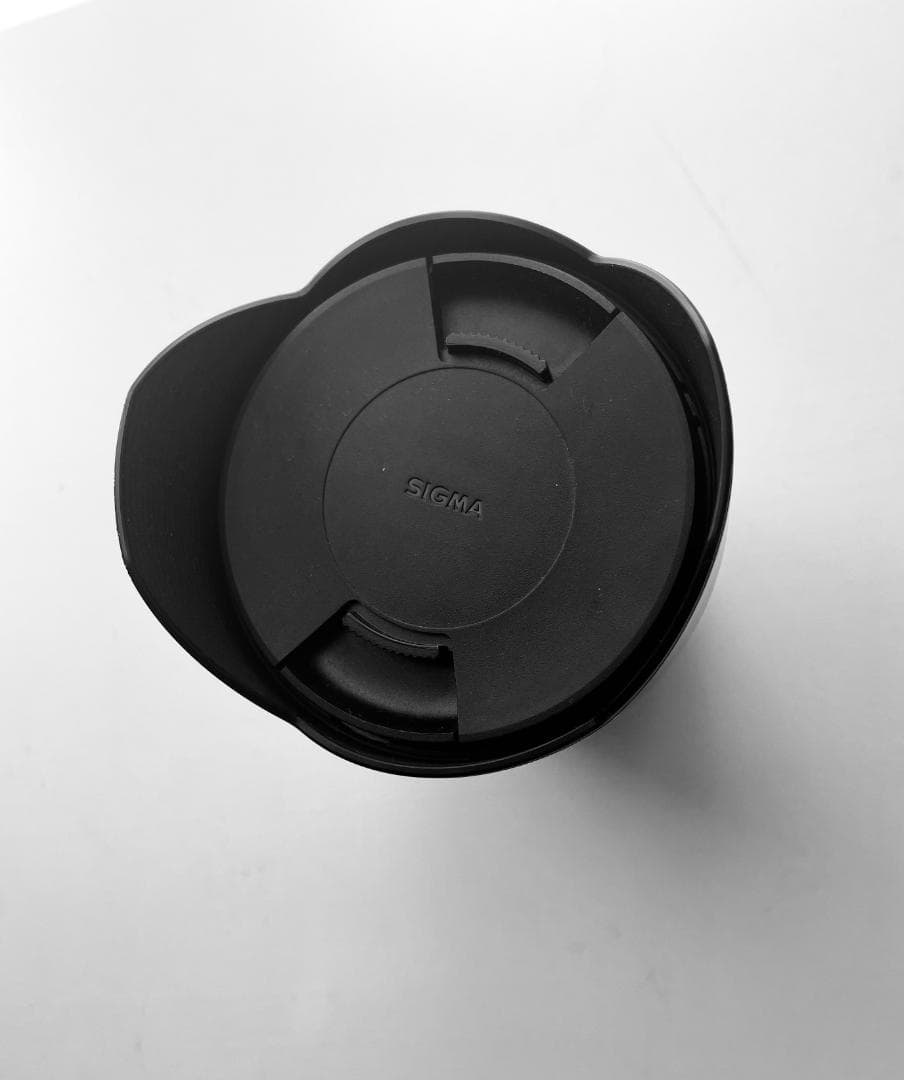 SIGMA 10-20mm F3.5 EX DC HSM 超広角ズームレンズ