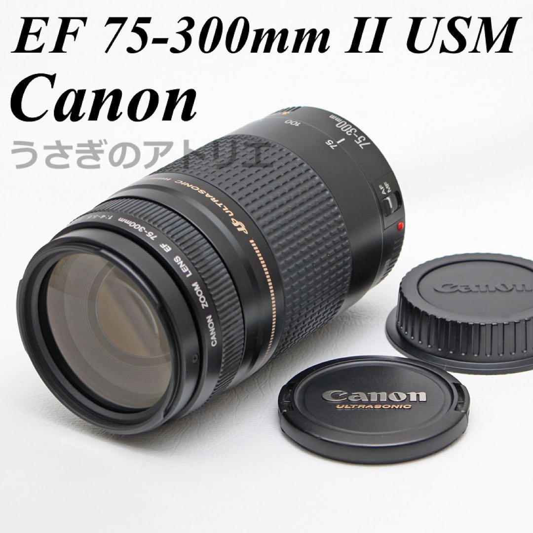 Canon⭐️EF 75-300mm ii USM⭐️キヤノン⭐️望遠レンズ