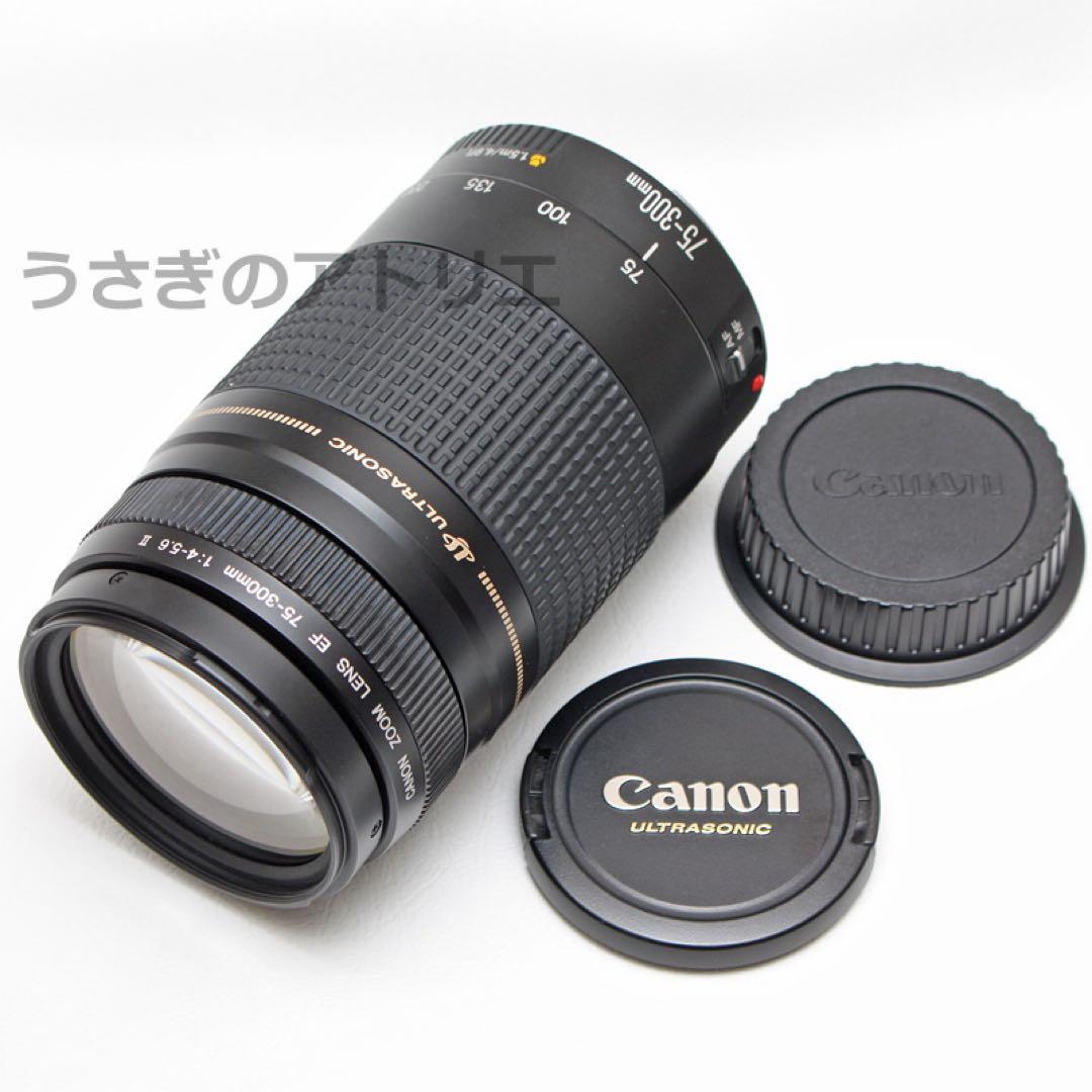Canon⭐️EF 75-300mm ii USM⭐️キヤノン⭐️望遠レンズ