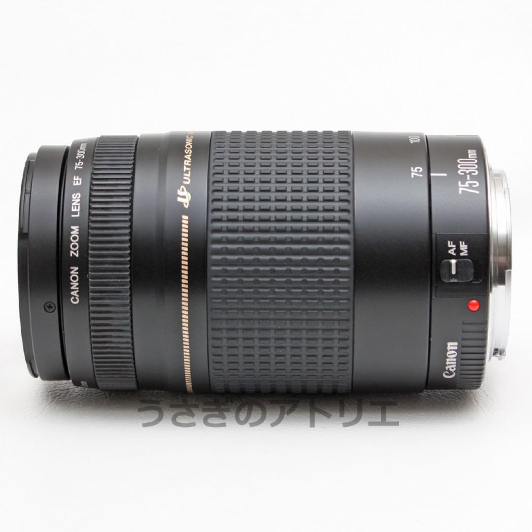 Canon⭐️EF 75-300mm ii USM⭐️キヤノン⭐️望遠レンズ