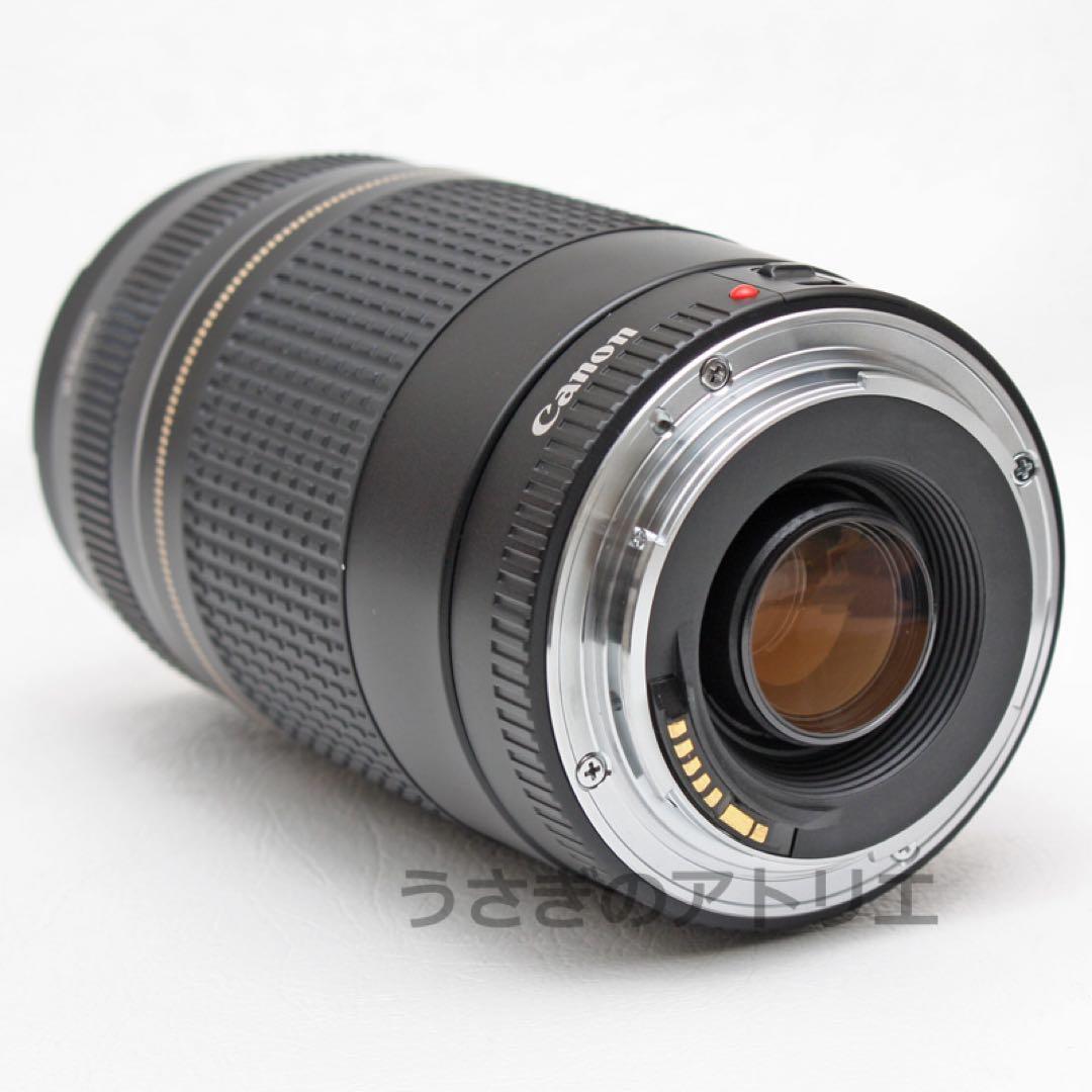 Canon⭐️EF 75-300mm ii USM⭐️キヤノン⭐️望遠レンズ