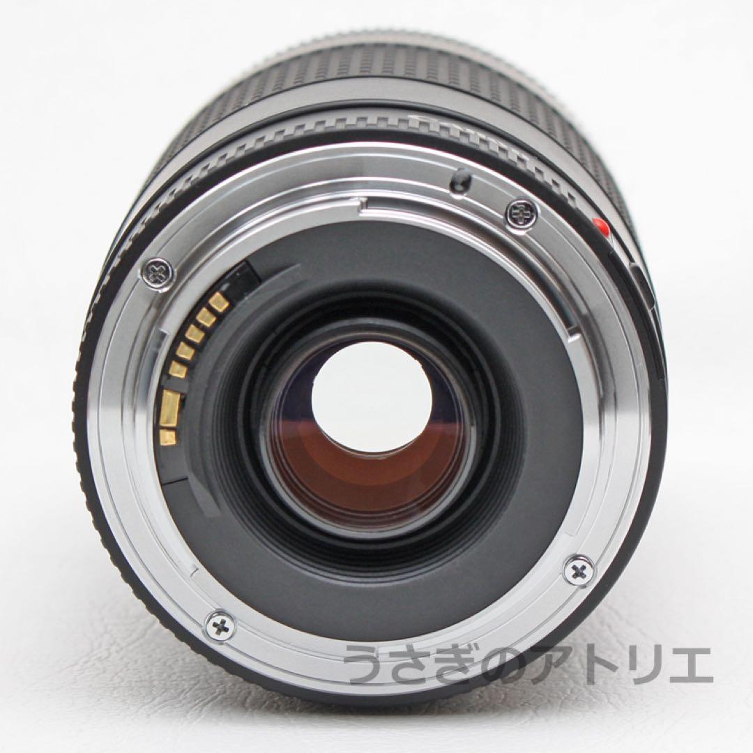 Canon⭐️EF 75-300mm ii USM⭐️キヤノン⭐️望遠レンズ