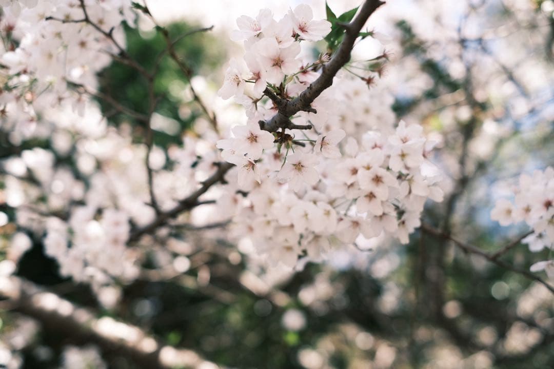 FUJIFILM X-Pro3 本体　［付属品多数］