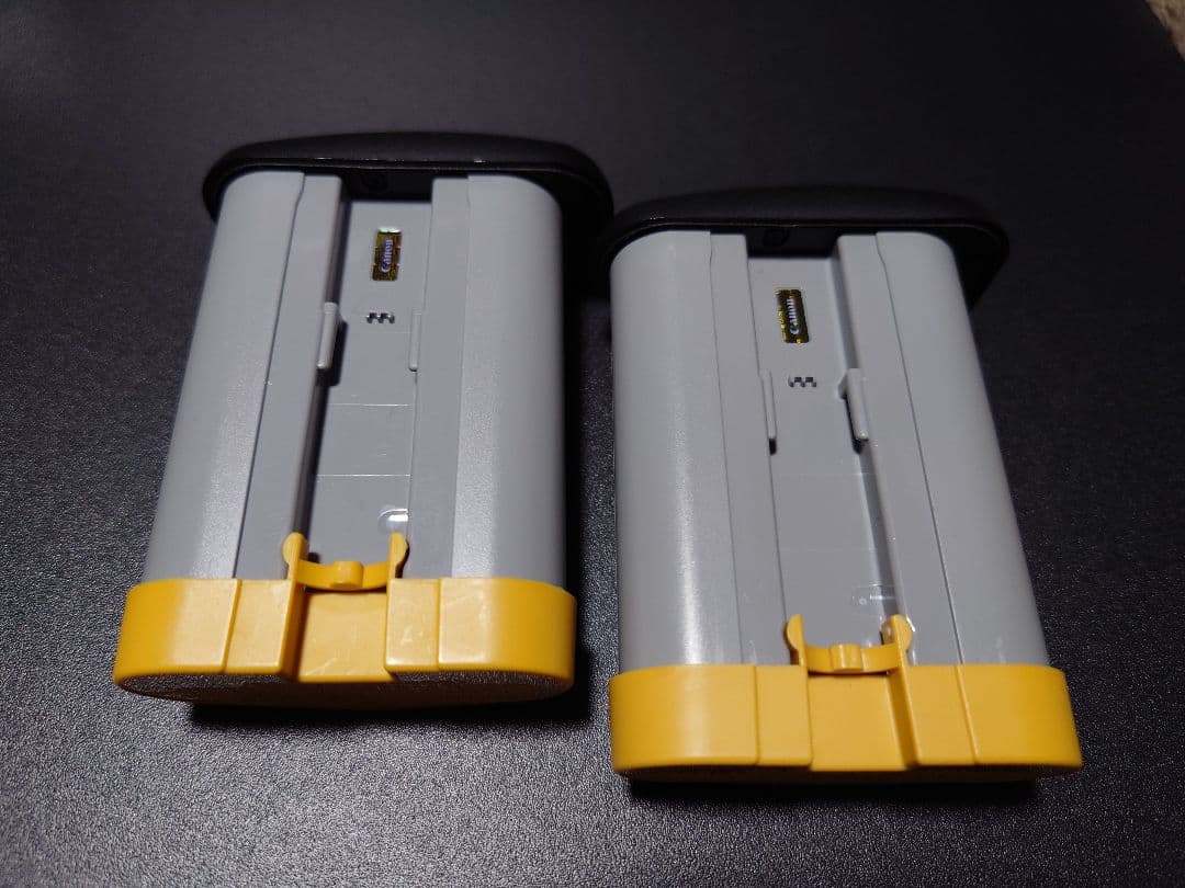 渡*輔様 【極上美品】Canon EOS R1