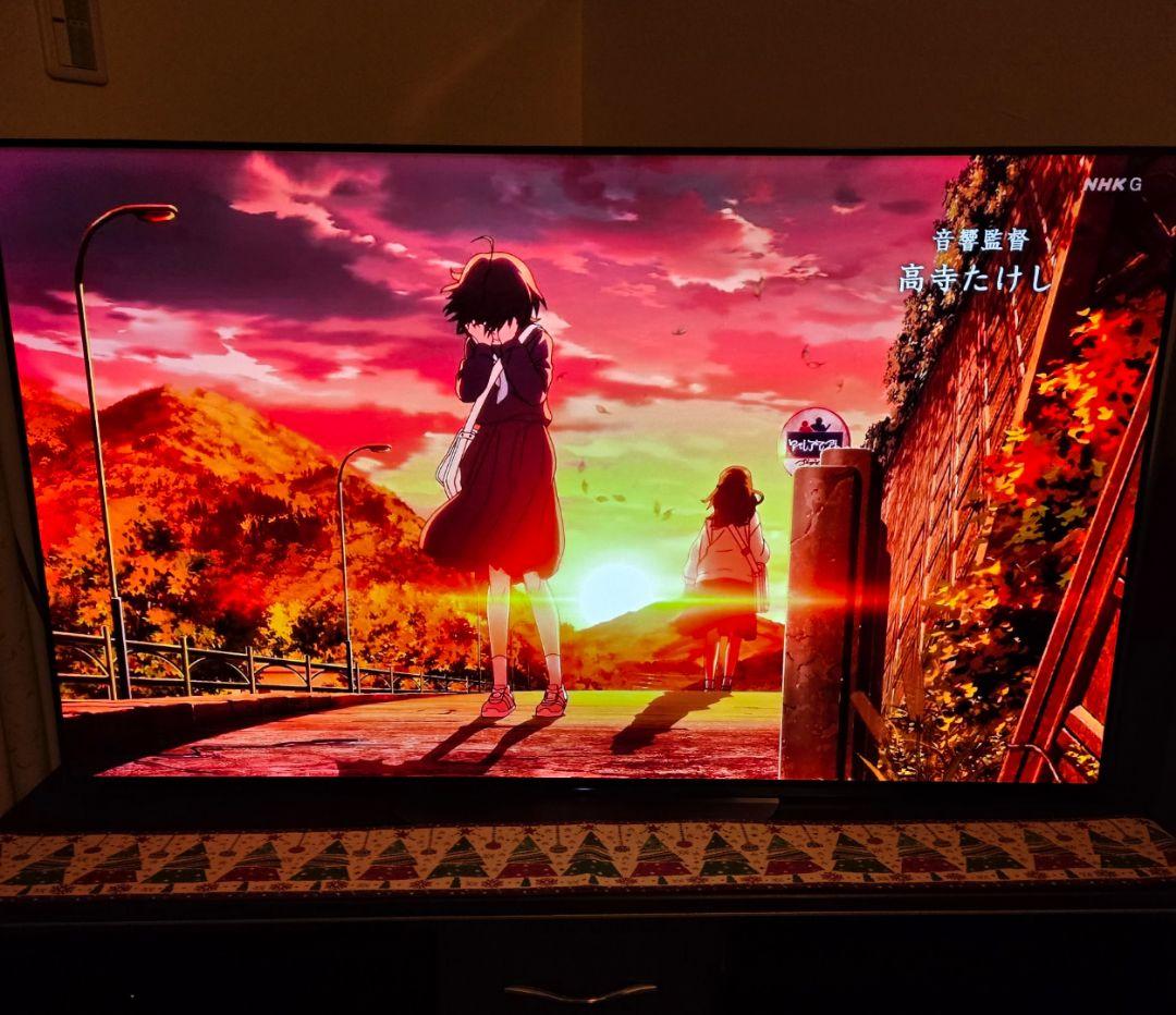 BRAVIA 55インチ　4K有機ELテレビ　KJ-55A9G 2019年製