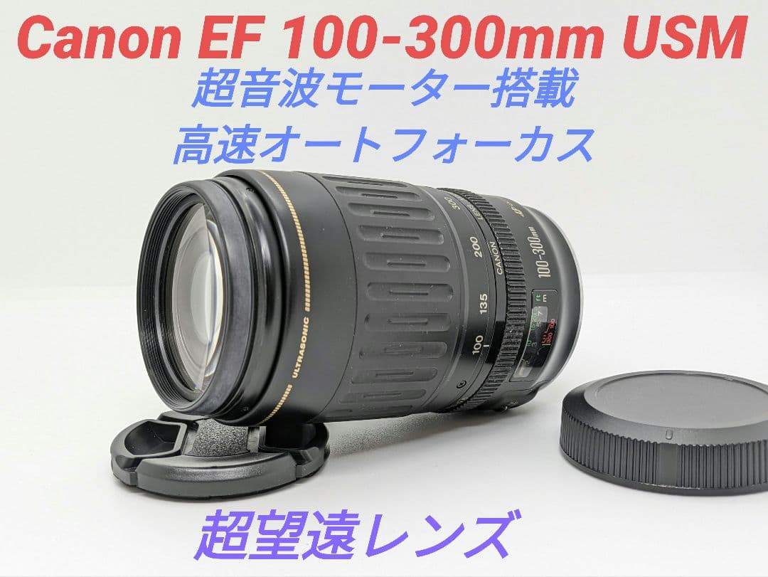 1月23日限定価格♪Canon EF 100-300mm USM