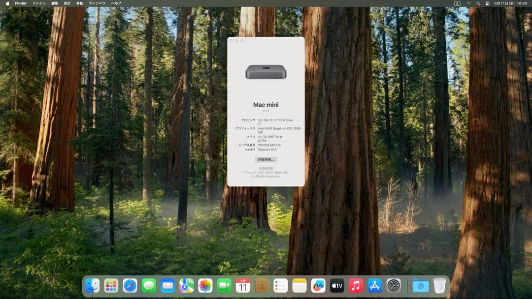 美品ハイスペックMac mini 6コアi7（2018）