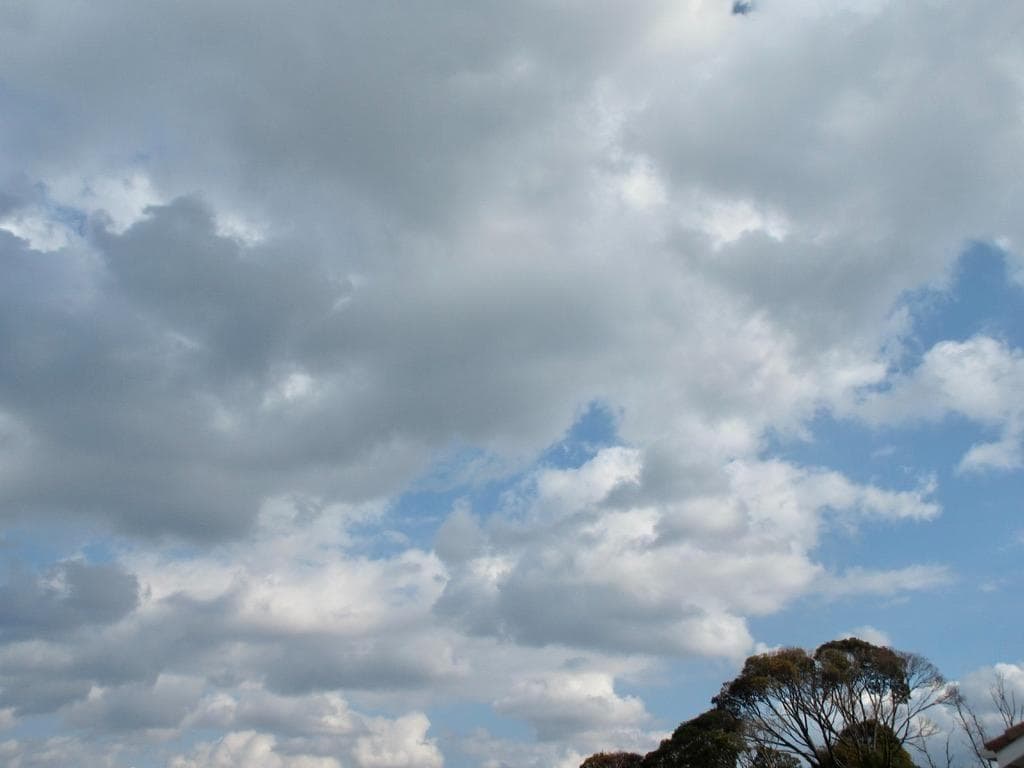 Canon IXY 630 Wi-Fi 光学12倍ズーム ピンク デジカメ