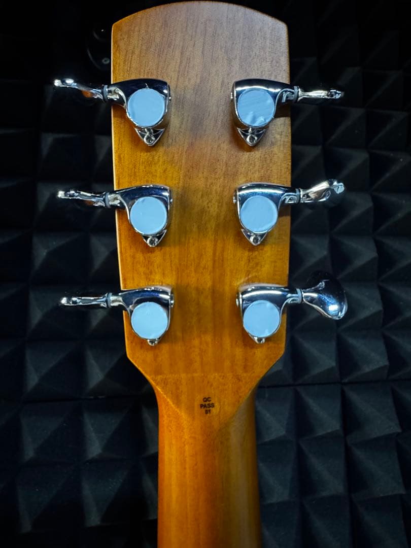 aNueNue L10E (エレアコモデル)