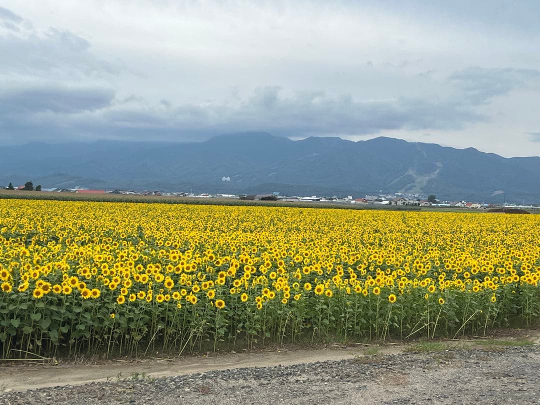 バット maymama84cm