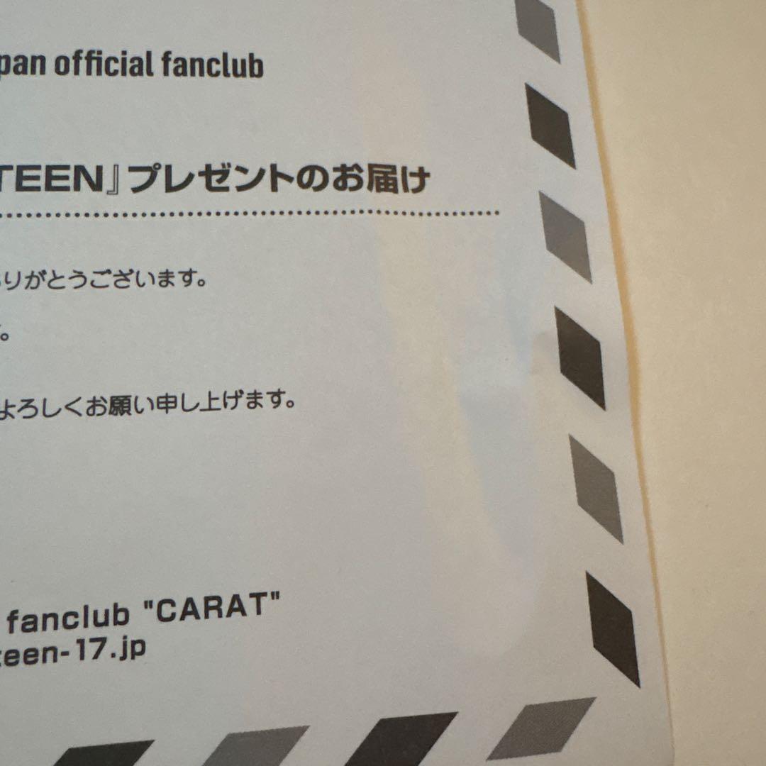 MY BEST SEVENTEEN 当選 フォトカード 2枚セット THE8