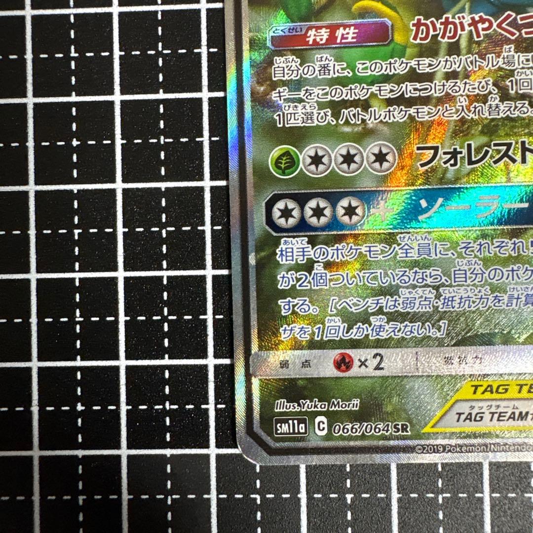 フシギバナ&ツタージャGX