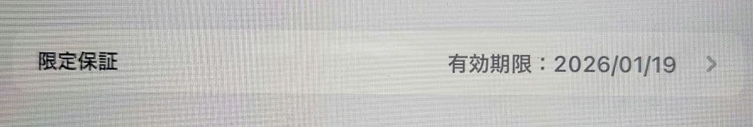 Apple iPad(第10世代) シルバー 64GB 付属品 おまけ付き