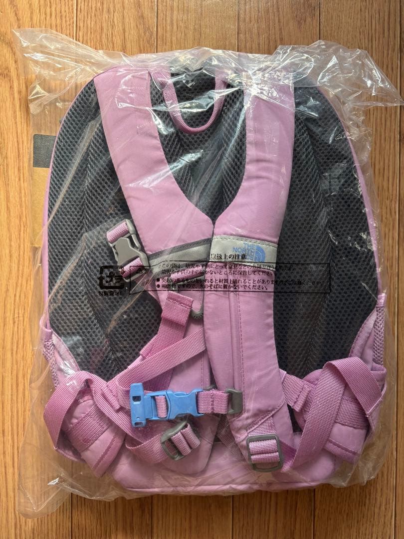 THE NORTH FACE パープルリュックサック