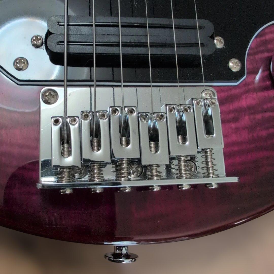 Pignose PGG-200 ピグノーズ アンプ内蔵 美品！