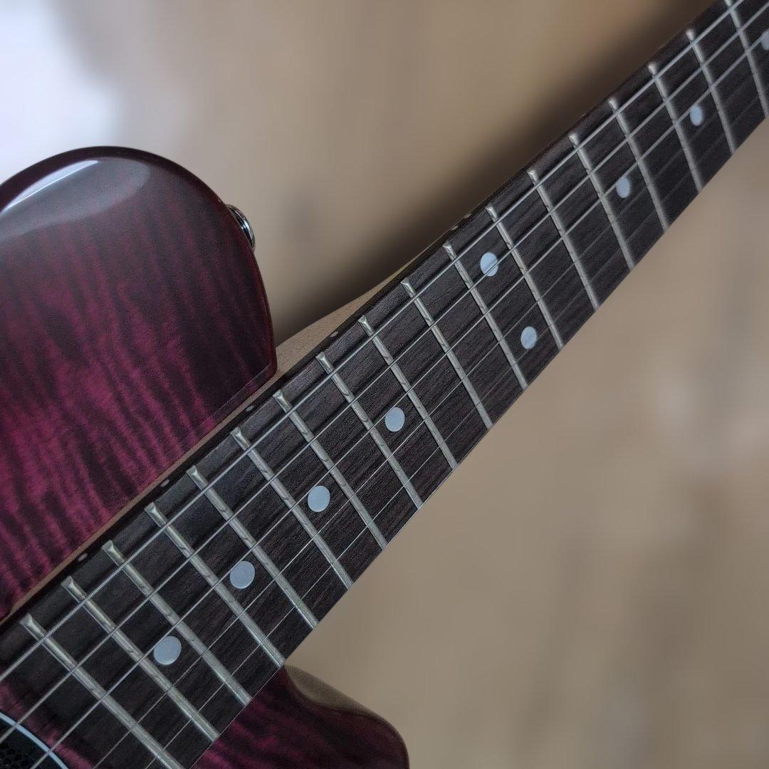 Pignose PGG-200 ピグノーズ アンプ内蔵 美品！