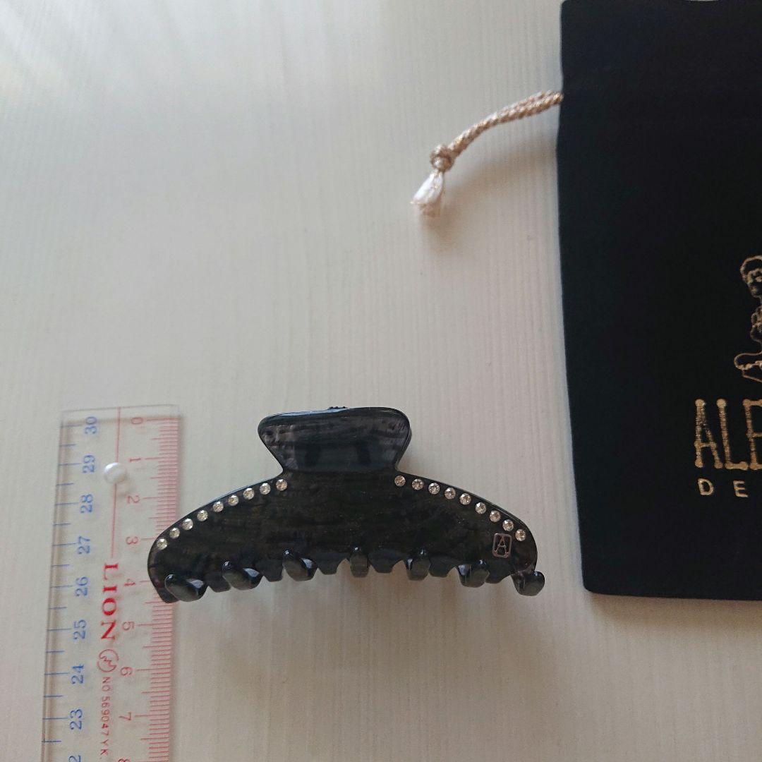 アレクサンドルドゥパリ クリップ