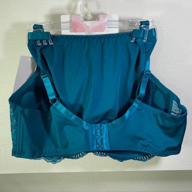 専用【６点】【E95/4L】ブラ・ショーツセット★51111031