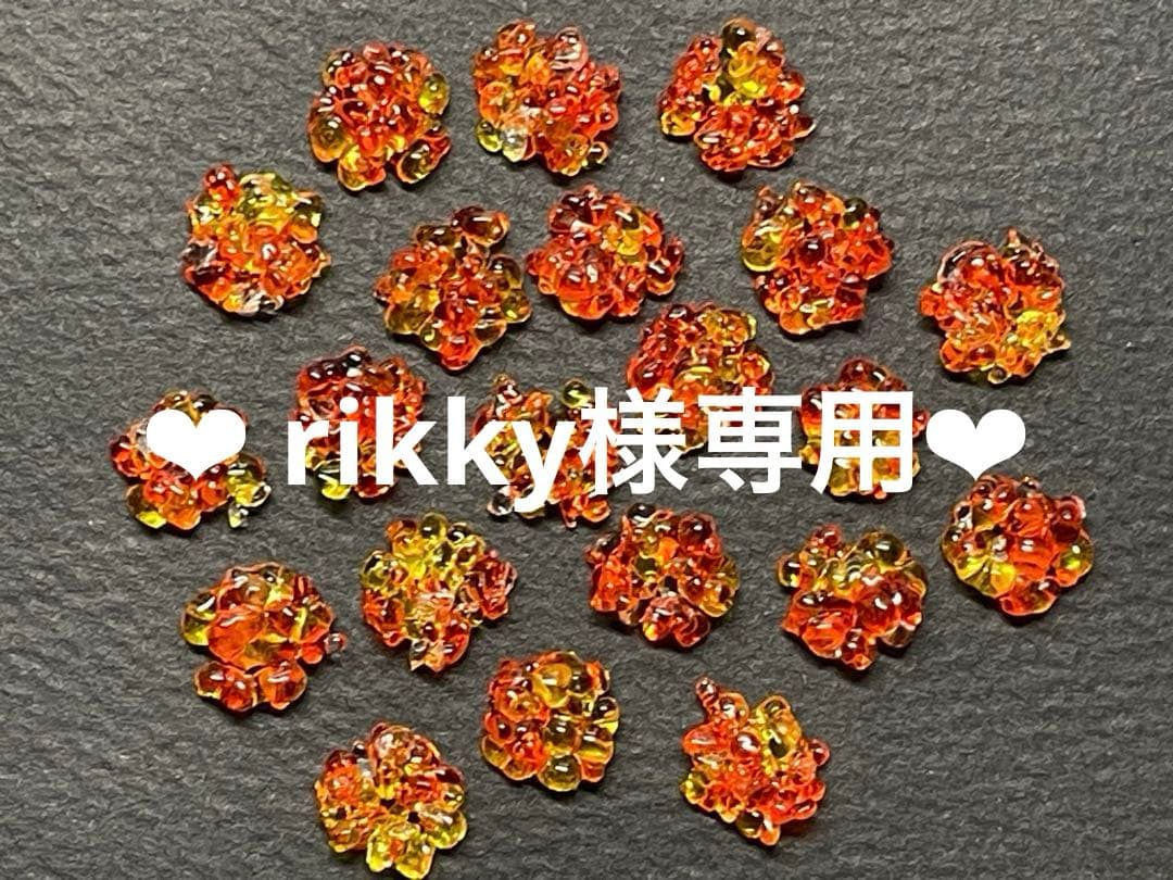 ❤︎rikky❤︎他の方のご購入はお控えください