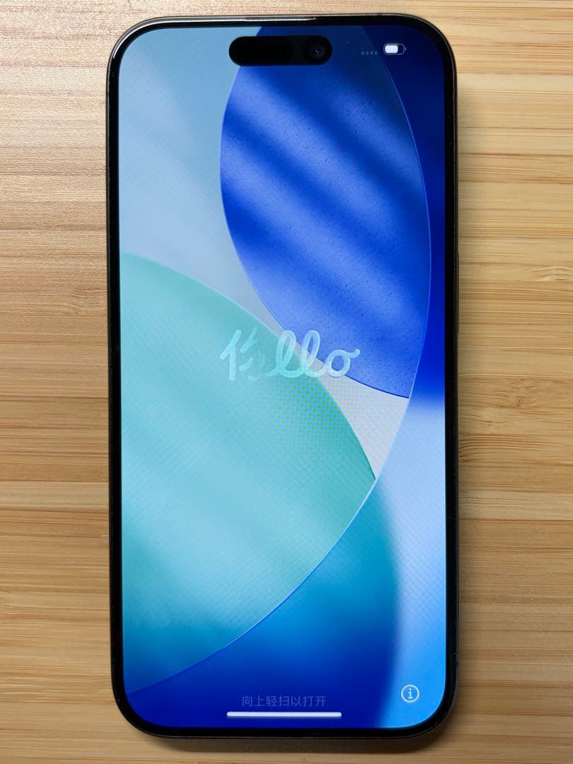 【即決の場合価格交渉可】iPhone15Pro 256GB SIMフリー　中古