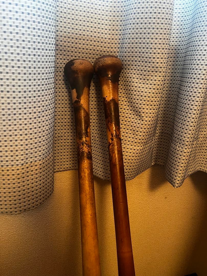 ミズノ 硬式バット プロフェッショナル ZETT 硬式バット プロステイタス