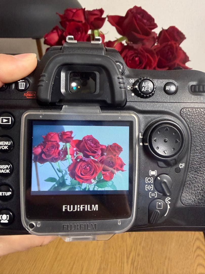 FUJIFILM FinePix S5 Pro レンズセット 動作確認済 CF付