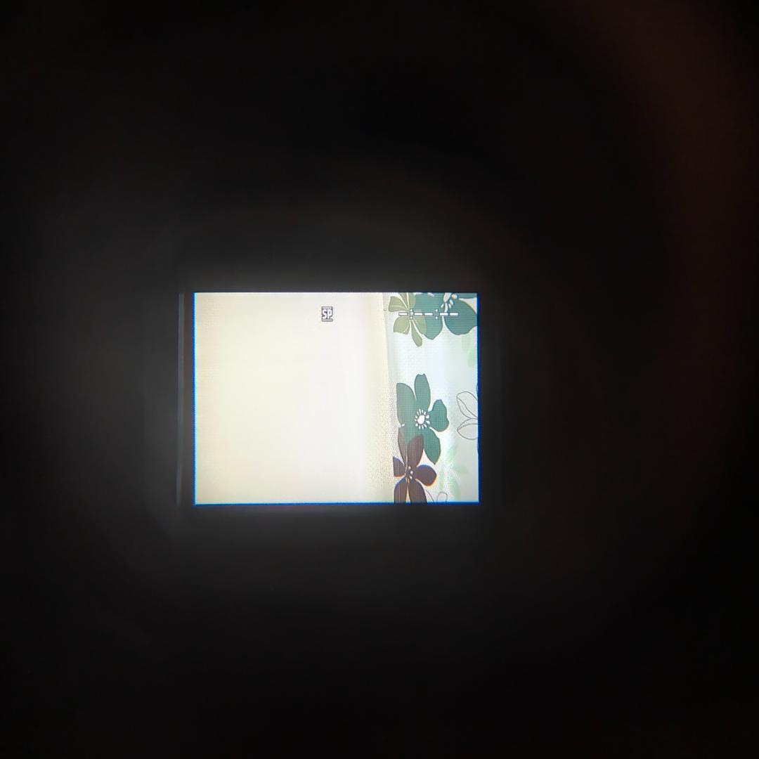 SONY DCR-TRV20 miniDVビデオカメラ ダビングに