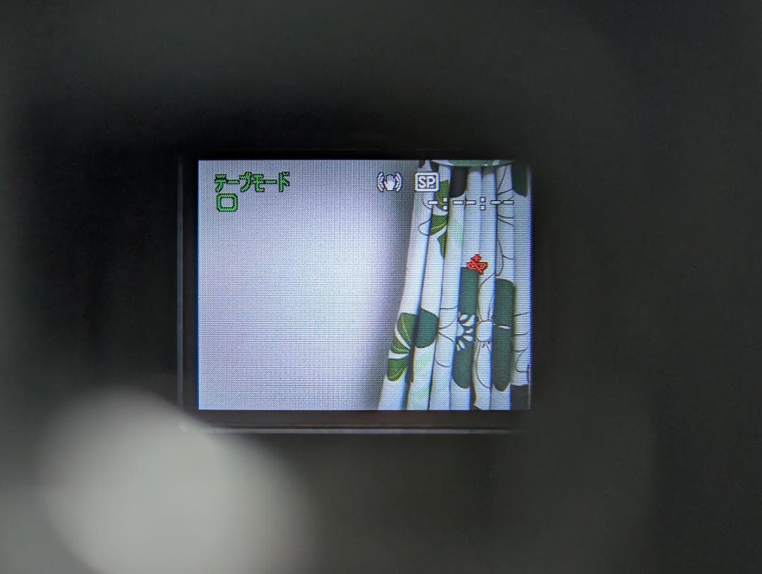 Canon FV M200 MiniDV ビデオカメラ ダビングに