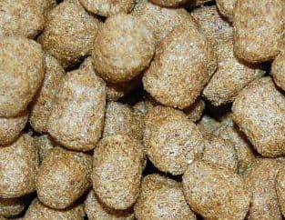 【マズリ】トータスダイエット5Ｍ21 mazuri 11.3kg×2袋