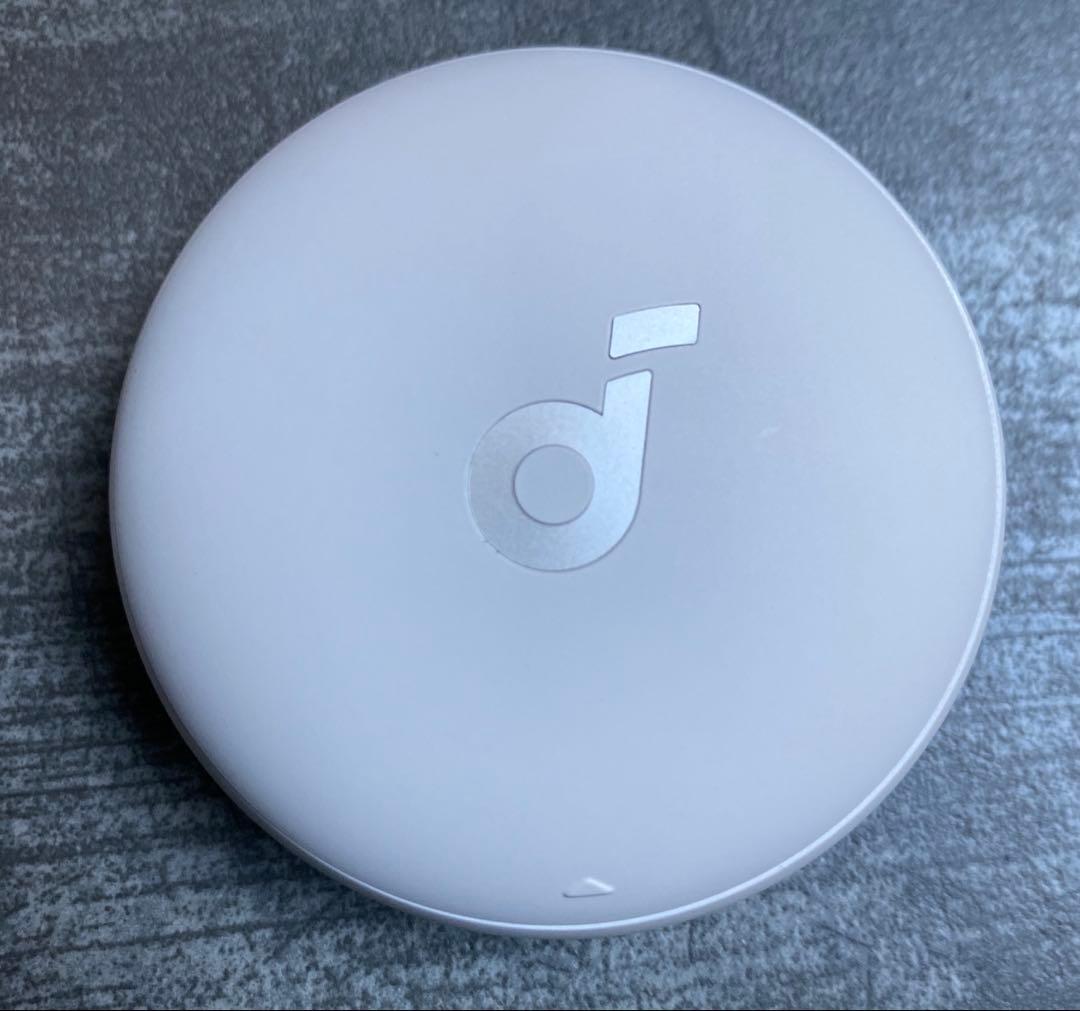 Anker Soundcore Sleep A20ワイヤレスイヤホン専用カバー付