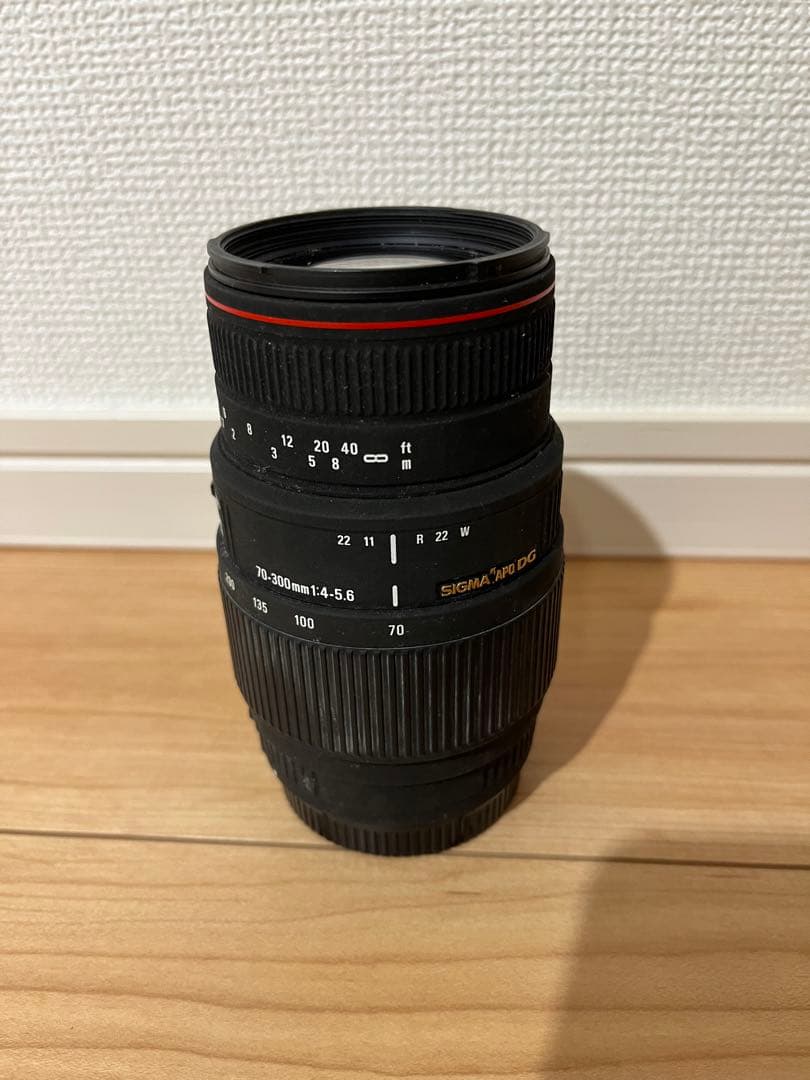 SIGMA APO 70-300 F4-5.6 DG MACRO フルサイズ対応