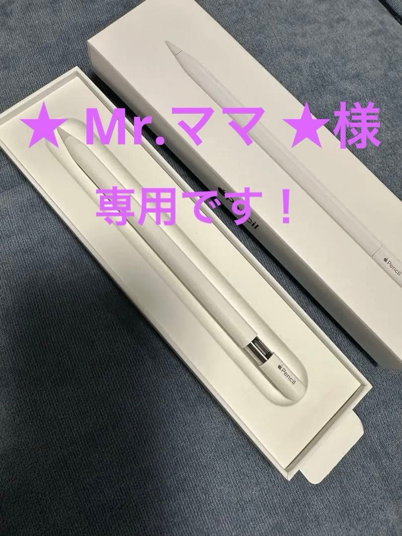Apple Pencil (USB-C) 純正　アップルペンシル