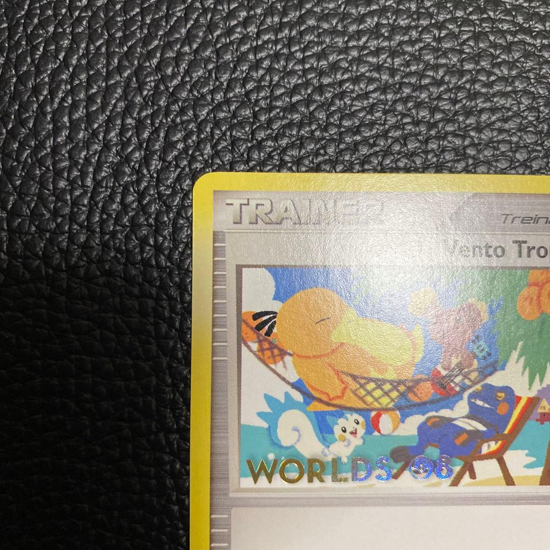 No.825 ポケモン　トロピカルウインド