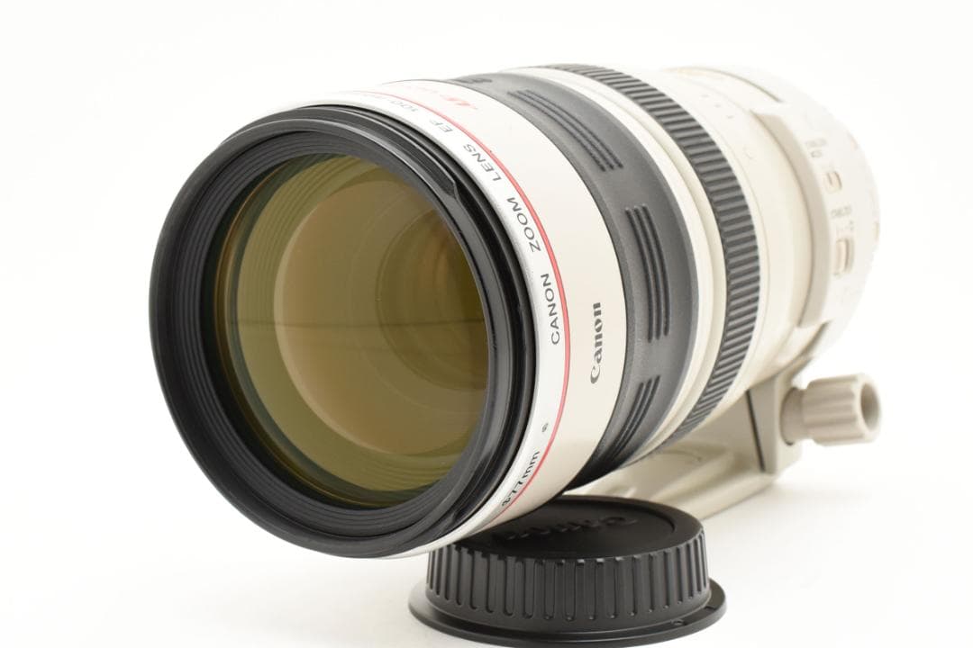 Canon キャノン EF100-400mm Ｆ4.5-5.6L IS USM