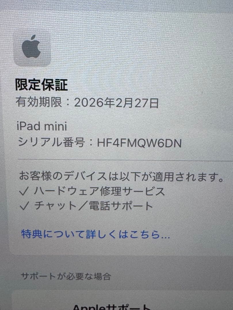 Apple iPad mini 第7世代 ブルー A17 wi-fi 256GB