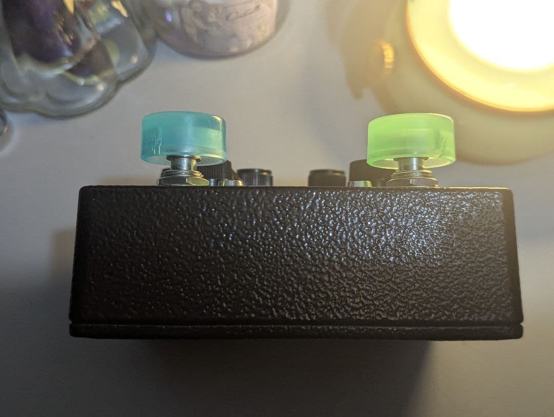 browne amplification PROTEIN クローン