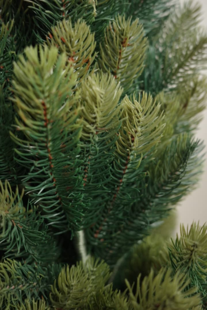 クリスマスツリー　RS GLOBAL TRADE社