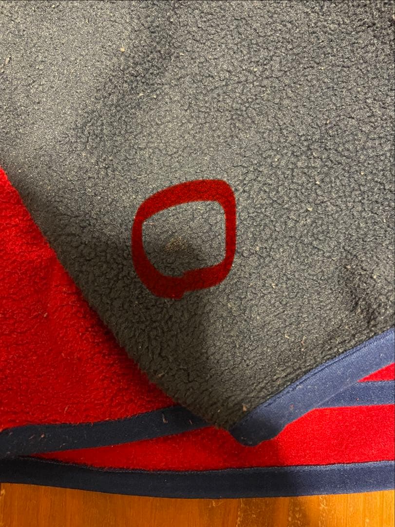 Patagonia パタゴニア シンチラ スナップT 90's M