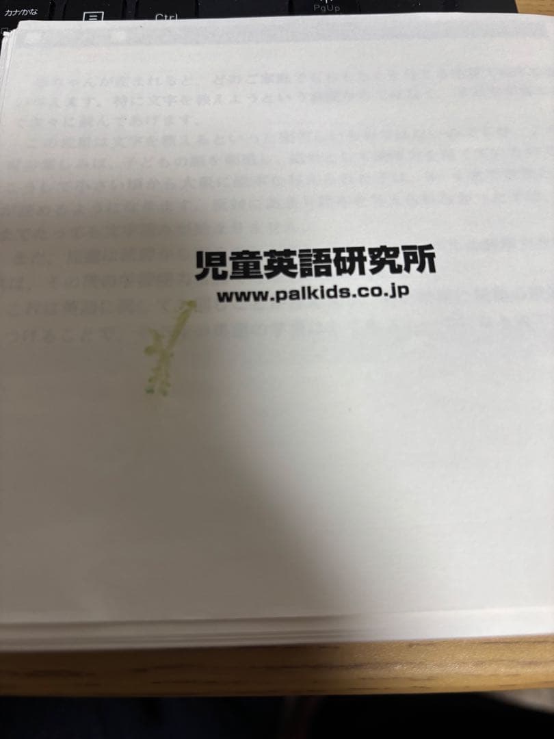 【絶版】【欠品なし】児童英語研究所　リタラシーリンクス　英語絵本96冊&CD4枚