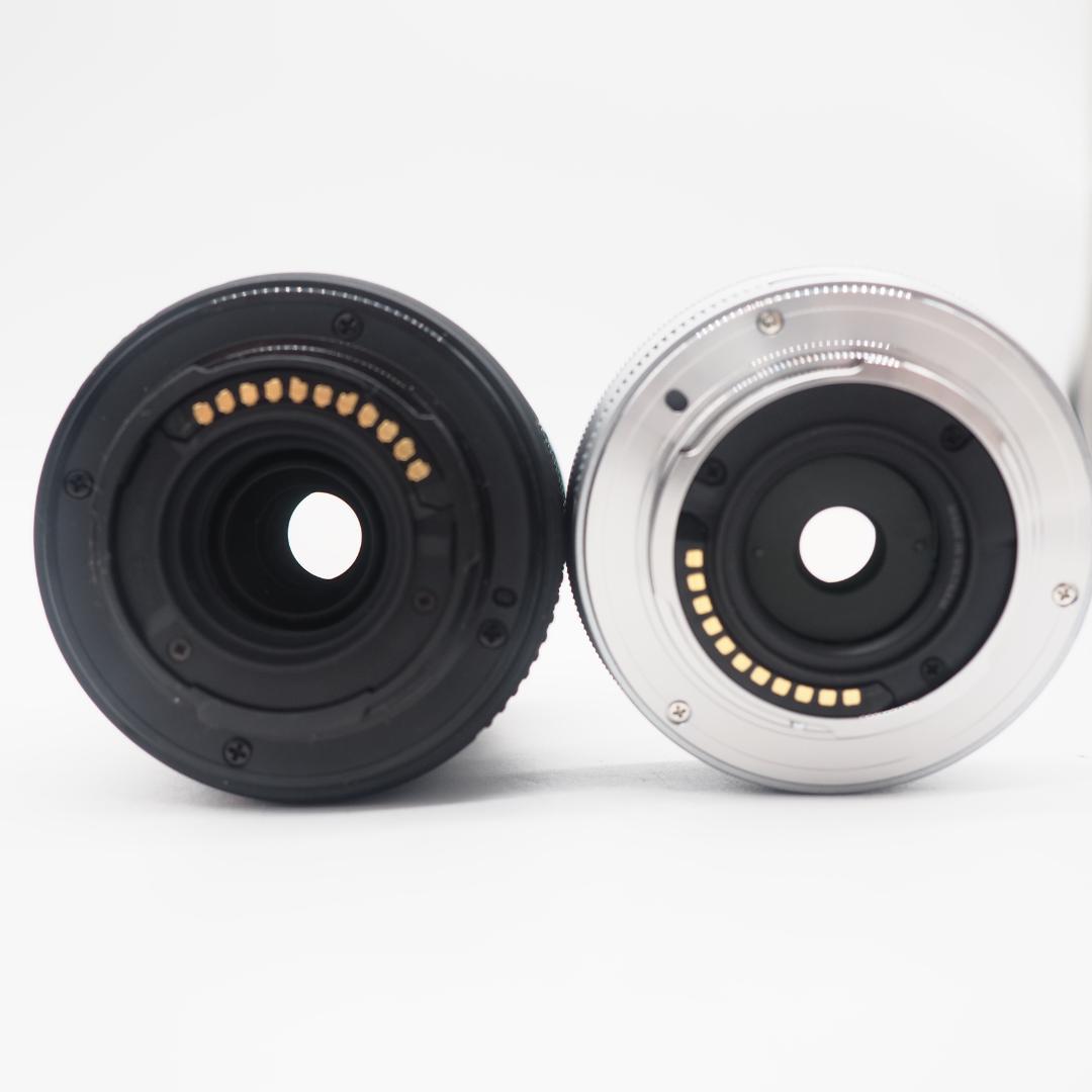 ショット数 312回！OLYMPUS PEN E-PL10 ダブルレンズセット