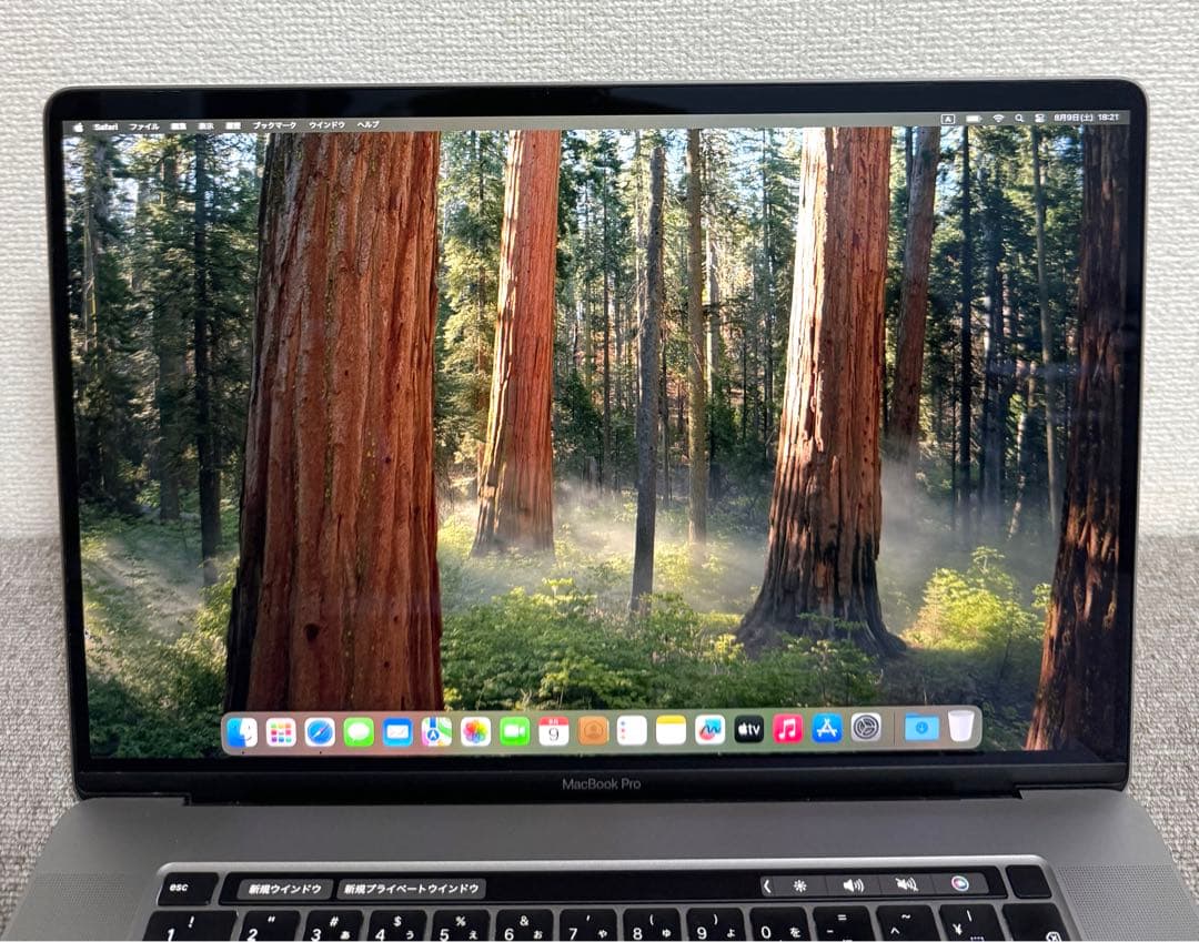 MacBook Pro 16インチ 4TB/64GB/2019年 動作保証