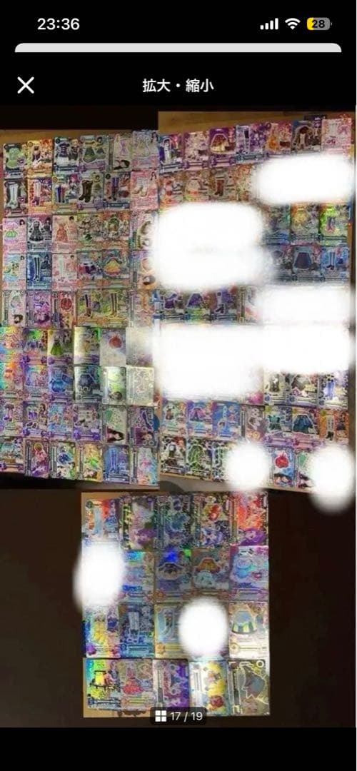 シャムタビー✨