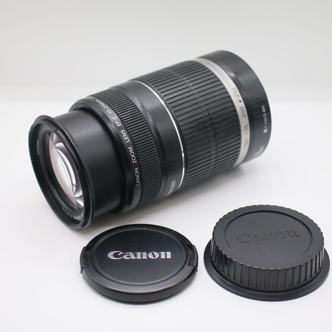 キヤノン EF-S55-250mm F4-5.6 IS