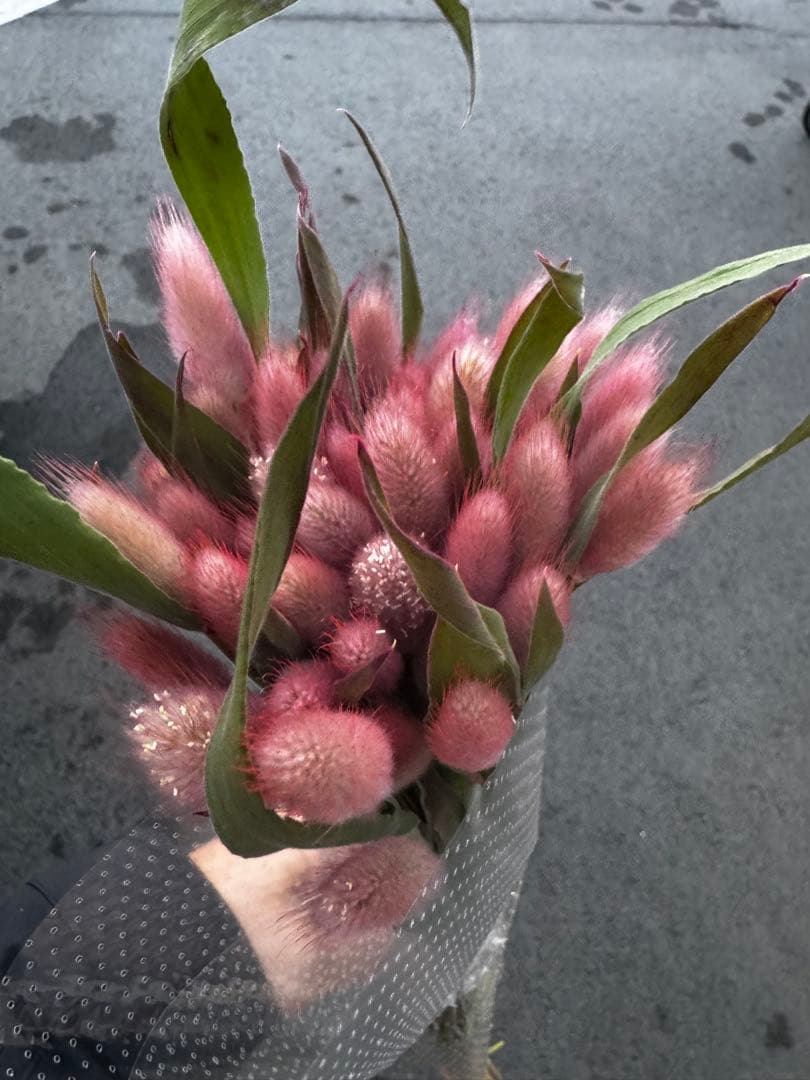 よっかんようかん様 リクエスト 5点 まとめ商品