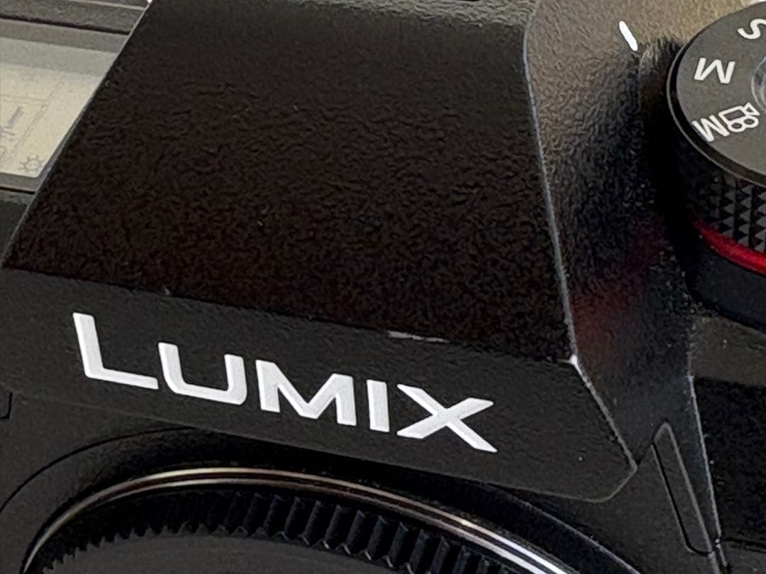 LUMIX S1 ミラーレス一眼カメラ バッテリーグリップ付き