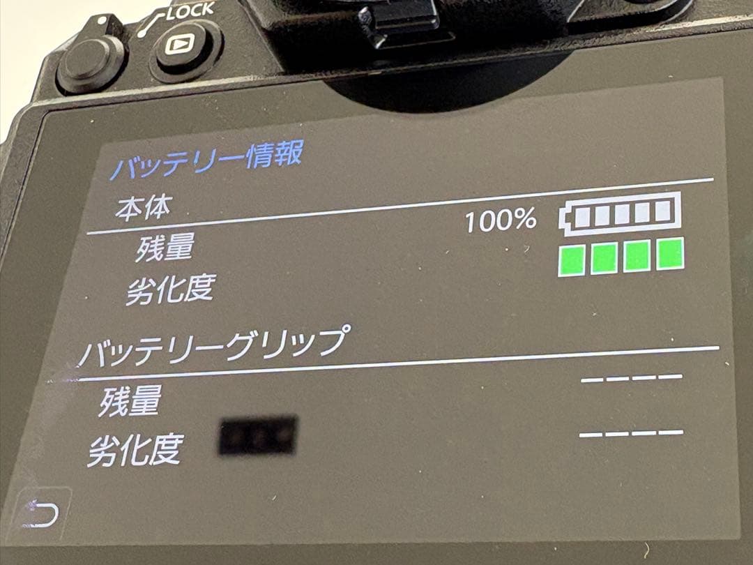 LUMIX S1 ミラーレス一眼カメラ バッテリーグリップ付き