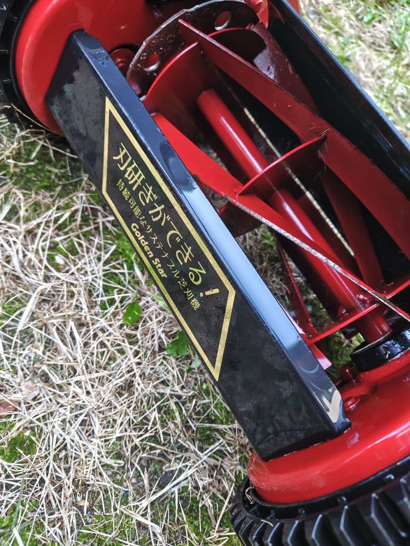 キンボシ ハッピーバーディーモア ゴールデンスター